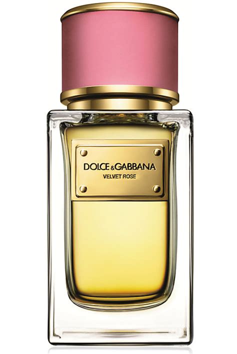 dolce gabbana summer perfume|best dolce and gabbana perfume for women.